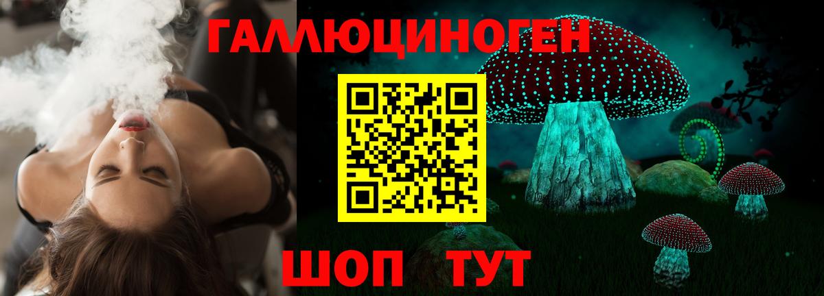 Красноуфимск  Галлюциногенные грибы Psilocybine cubensis  Вход с VPN 